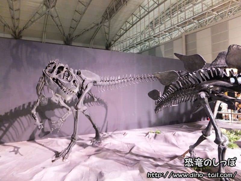 世界の恐竜化石産地・地層 | 恐竜のしっぽ