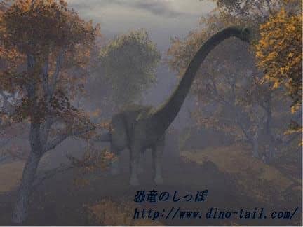 ディプロドクス(当サイトオリジナル)