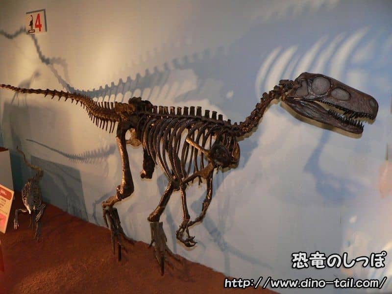 ヘレラサウルス 恐竜のしっぽ 図鑑