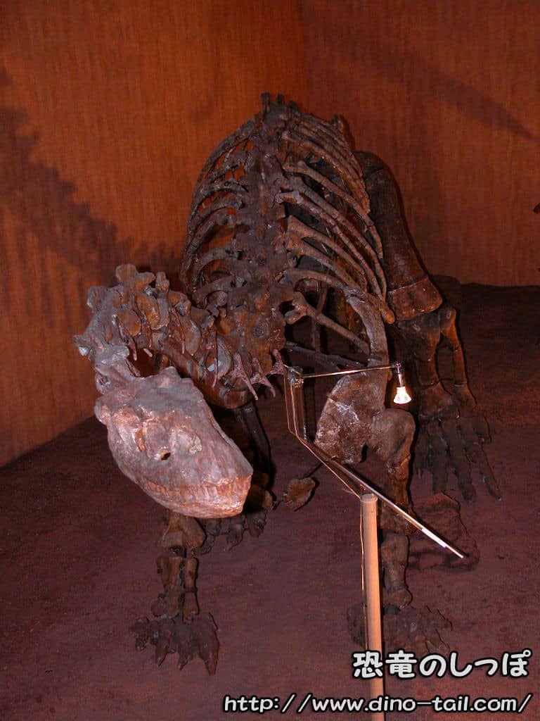 孵化前の赤ちゃん恐竜を発見 ルーフェンゴサウルス 恐竜のしっぽ ニュース