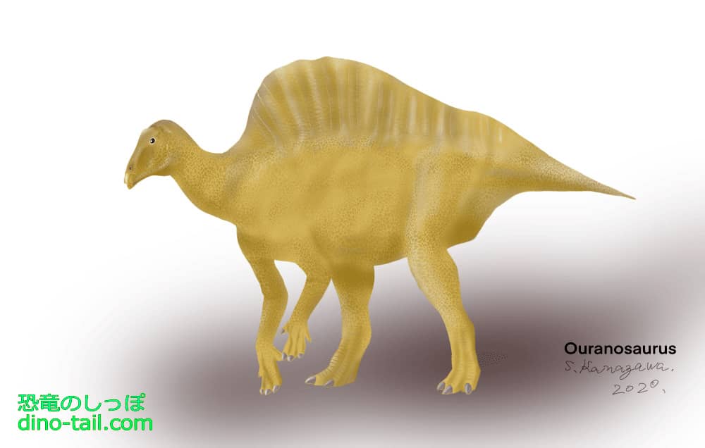オウラノサウルス(Ouranosaurus)のイラスト