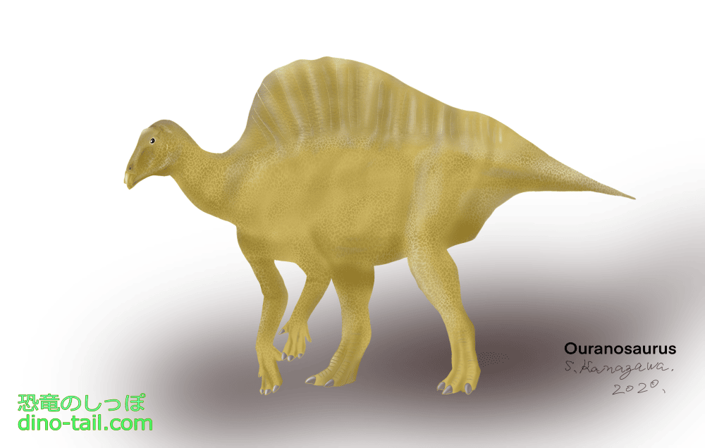 オウラノサウルス | 恐竜のしっぽ -図鑑-