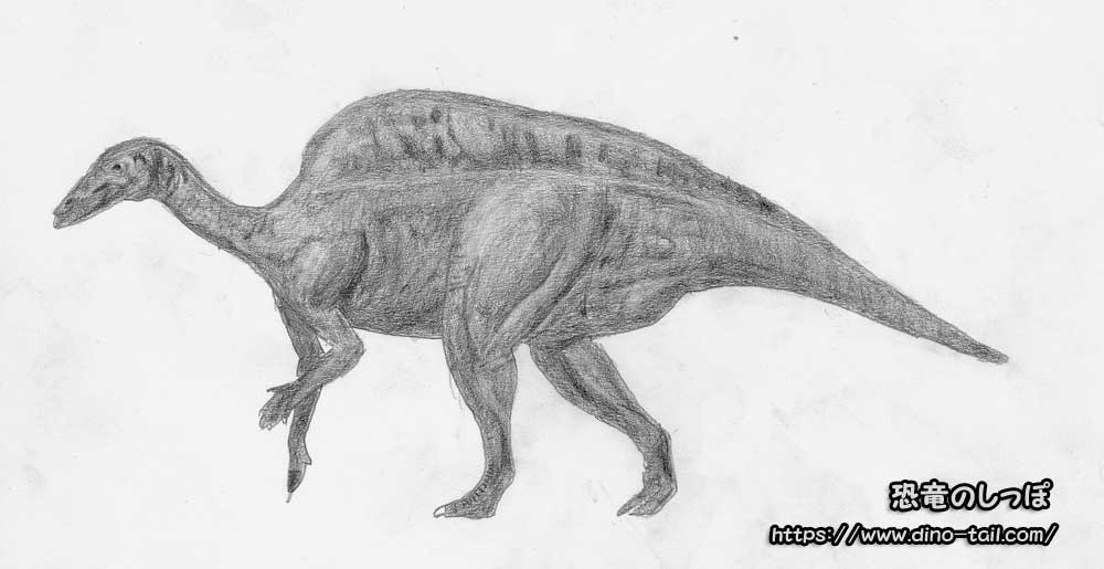 オウラノサウルスのイラスト