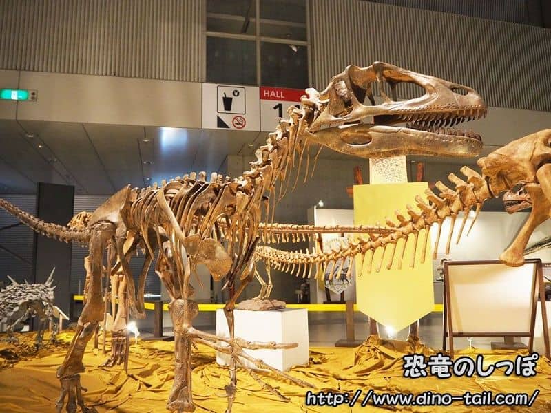 ユタラプトルの全身骨格化石